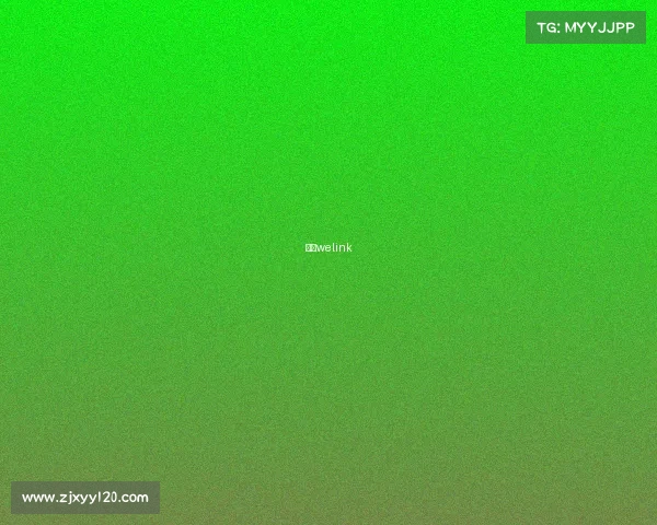 船政welink 船政welink